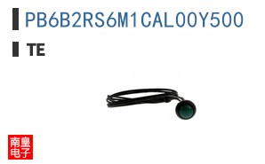 PB6B2RS6M1CAL00Y500