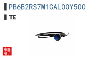 PB6B2RS7M1CAL00Y500