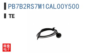 PB7B2RS7M1CAL00Y500