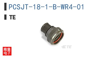 PCSJT-18-1-B-WR4-01