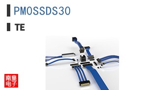PM0SSDS30