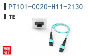 PT101-0020-H11-2130