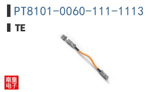 PT8101-0060-111-1113