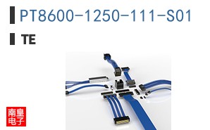 PT8600-1250-111-S01