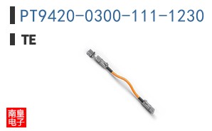 PT9420-0300-111-1230