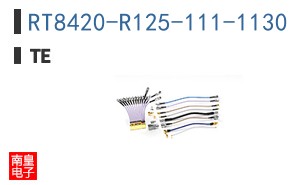 RT8420-R125-111-1130