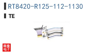 RT8420-R125-112-1130