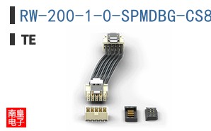 RW-200-1-0-SPMDBG-CS8751