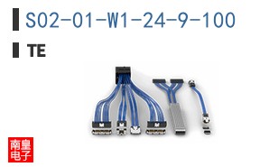 S02-01-W1-24-9-100