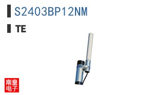 S2403BP12NM