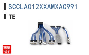 SCCLA012XXAMXAC991