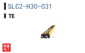 SLC2-H30-031