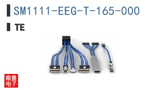 SM1111-EEG-T-165-000