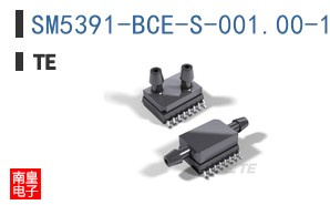 SM5391-BCE-S-001.00-131