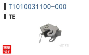 T1010031100-000
