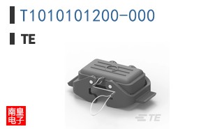 T1010101200-000