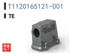 T1120165121-001