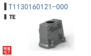 T1130160121-000
