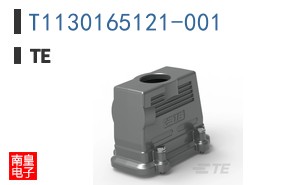 T1130165121-001