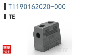T1190162020-000