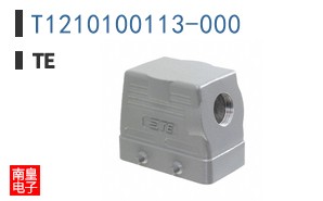 T1210100113-000