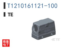 T1210161121-100