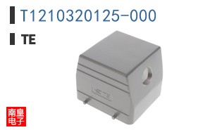 T1210320125-000