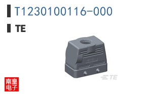 T1230100116-000