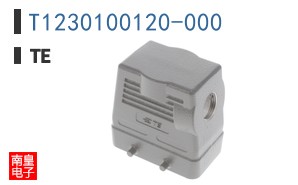 T1230100120-000