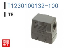 T1230100132-100