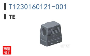 T1230160121-001