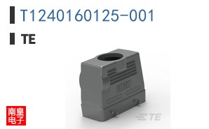 T1240160125-001
