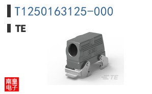 T1250163125-000