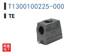 T1300100225-000