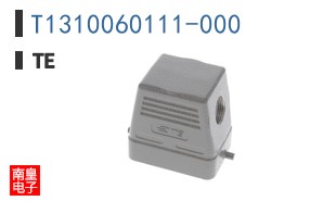 T1310060111-000