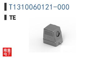 T1310060121-000