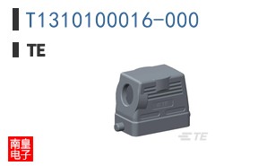 T1310100016-000