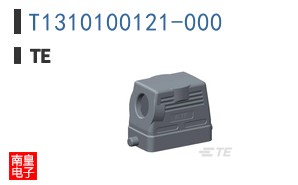 T1310100121-000