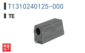 T1310240125-000