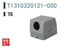 T1310320121-000