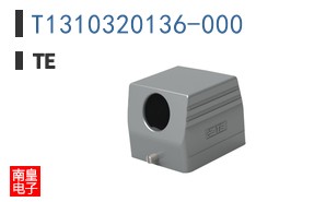 T1310320136-000