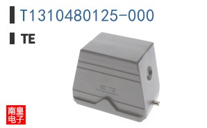 T1310480125-000