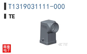 T1319031111-000