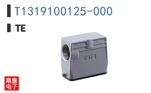 T1319100125-000