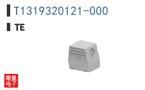 T1319320121-000
