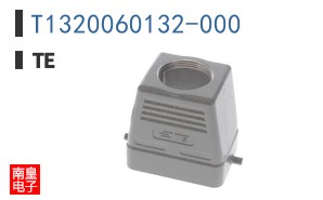 T1320060132-000