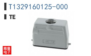 T1329160125-000