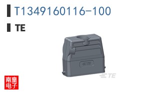 T1349160116-100