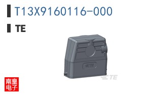 T13X9160116-000