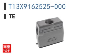 T13X9162525-000